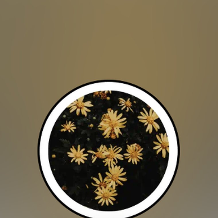 Snapchat lens with 265K views
